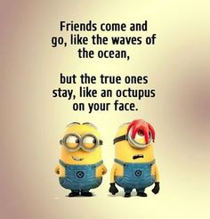 two minion characters with the caption saying friends come and go like the waves of the ocean, but the true ones stay