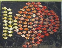an image of colorful fish on display in a shop window with the colors red, yellow and blue