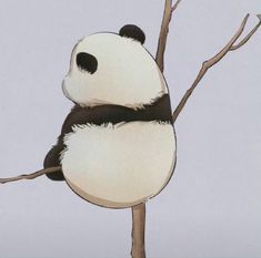 a panda bear sitting on top of a tree branch