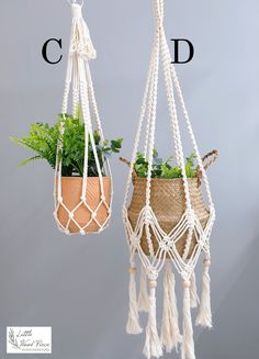 two macrame plant hangers with plants in them and the letters c d