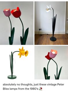 four different types of flowers are shown in this collage with the caption bliss lamps from the 1960s's