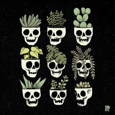several skulls with plants in them on a black background