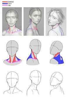 an image of a woman's neck with different angles