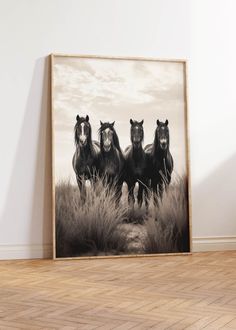 three black horses running through the grass in front of a white wall and wooden floor