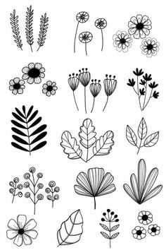 various flowers and leaves drawn in black ink