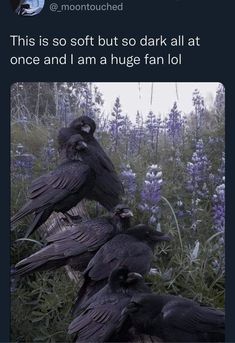 three black birds sitting on top of a tree stump in the middle of a field