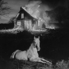 a white horse laying on the ground in front of a house with flames coming out of it