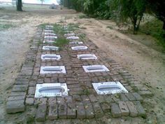 rows of toilets lined up in the middle of a dirt field with trees behind them