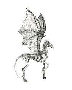 a black and white drawing of a dragon with long wings, standing on its hind legs