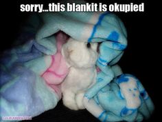 a stuffed animal wrapped in a blanket with the caption sorry, this blanket is expired