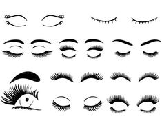 a set of eyelashes with different shapes and sizes