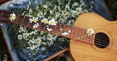 an acoustic guitar with daisies in a suitcase