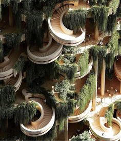 an aerial view of spiral staircases and trees in a building with circular balconies