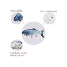 the different types of fish are shown in this graphic above it's description and description