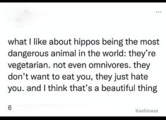 an image of a text that reads what i like about hippos being the most dangerous animal in the world they're vegetarian not even omn