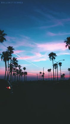 palm trees are silhouetted against the evening sky