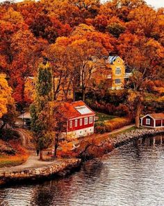 an autumn scene with trees and houses along the water