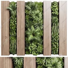 the vertical garden wall is made up of wooden boards and plants