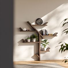 there is a clock on the wall next to shelves that have plants and books in them