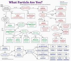 a flow diagram with words and diagrams on it