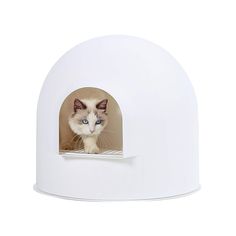 pidan Igloo Cat Litter Box Dome Litter Box Extra Large Igloo Litter Box Dog Proof Kitty Litter Box Furniture with Modern Minimalist Design, Litter Box Furniture Dot Design Award 2016 (As an Amazon Associate I earn from qualifying purchases) Litter Tracking, Inspiration Story, Cat Enclosures, Litter Box Furniture, Box Furniture