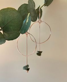 a pair of hoops hanging from a tree branch with green leaves on it and two black beads dangling from them