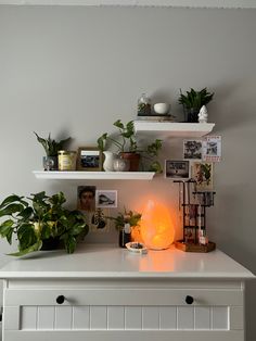 a white dresser topped with lots of plants