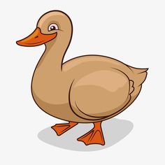 a brown duck with an orange beak and legs