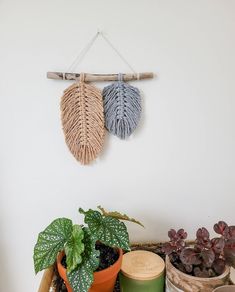 two plants are hanging on the wall next to some potted plants and other items