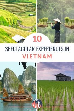 the top 10 spectacular experiences in vietnam