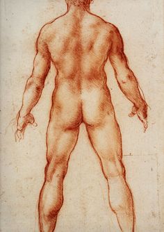 a drawing of a man's torso and hands, with no shirt on it
