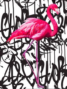 a pink flamingo standing in front of graffiti on a white and black background with spray paint
