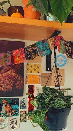 a potted plant sitting on top of a wooden shelf next to pictures and magnets