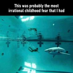 two people swimming in the water with a shark and another person diving behind them that is captioned