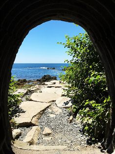 an archway leading to the ocean with rocks and greenery on either side that lead into the water