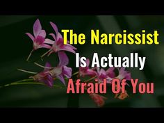 Dr Ramani, What Is Narcissism, Feeling Ugly, Personality Disorders, Narcissistic Personality, Blaming Others, Boot Print, Spiritual Warfare