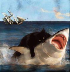 a black cat sitting on top of a shark in the ocean next to a ship