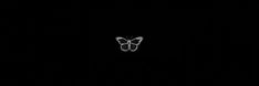 a black and white photo of a butterfly in the dark with only one wing visible