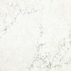 a white marble textured background with black lines