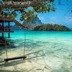 a swing hanging from a tree over the ocean