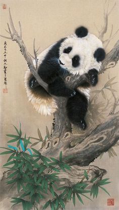 a panda bear sitting on top of a tree branch next to bamboo leaves and the words lucky symbol