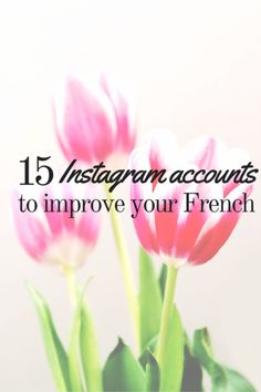 pink flowers with the words 15 instagramn accounts to improve your french language