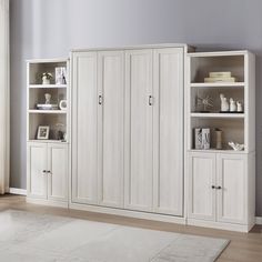 a living room with white bookcases and a rug