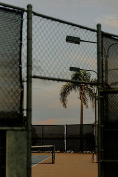 there is a palm tree in the distance behind a fenced area with a tennis court