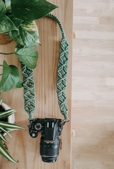 a camera hanging on a wooden wall next to a potted plant