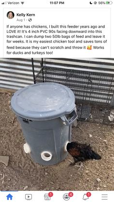 a chicken standing next to a trash can on top of dirt covered ground in front of a metal fence