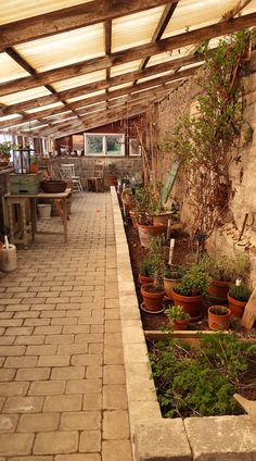an outdoor patio with potted plants and tables