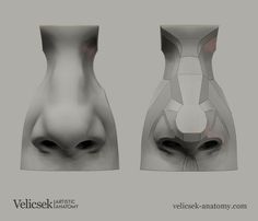 two vases with different shapes and sizes are shown in the same image as each other