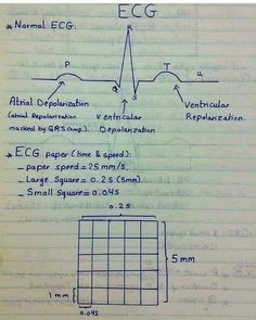 Cardiovascular Nursing, Nursing School Studying Cheat Sheets, Medical Mnemonics, Nursing Study Guide, Medicine Notes, Basic Anatomy And Physiology