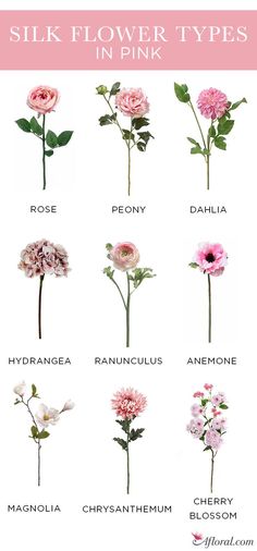 pink flowers with their names on them and the words silk - flower types in pink